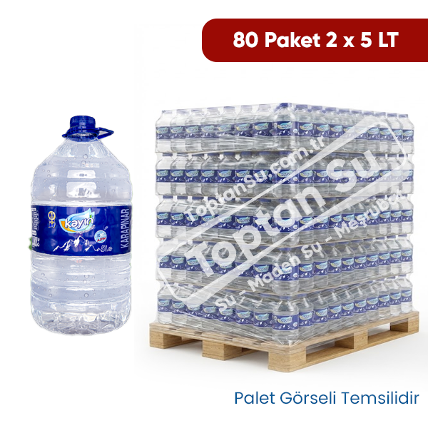 1 Palet (80 Paket 2x5 LT) Kayın