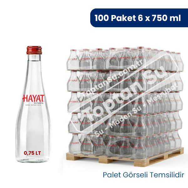1 Palet ( Cam Şişe 100 Paket 6x750 ml ) Hayat